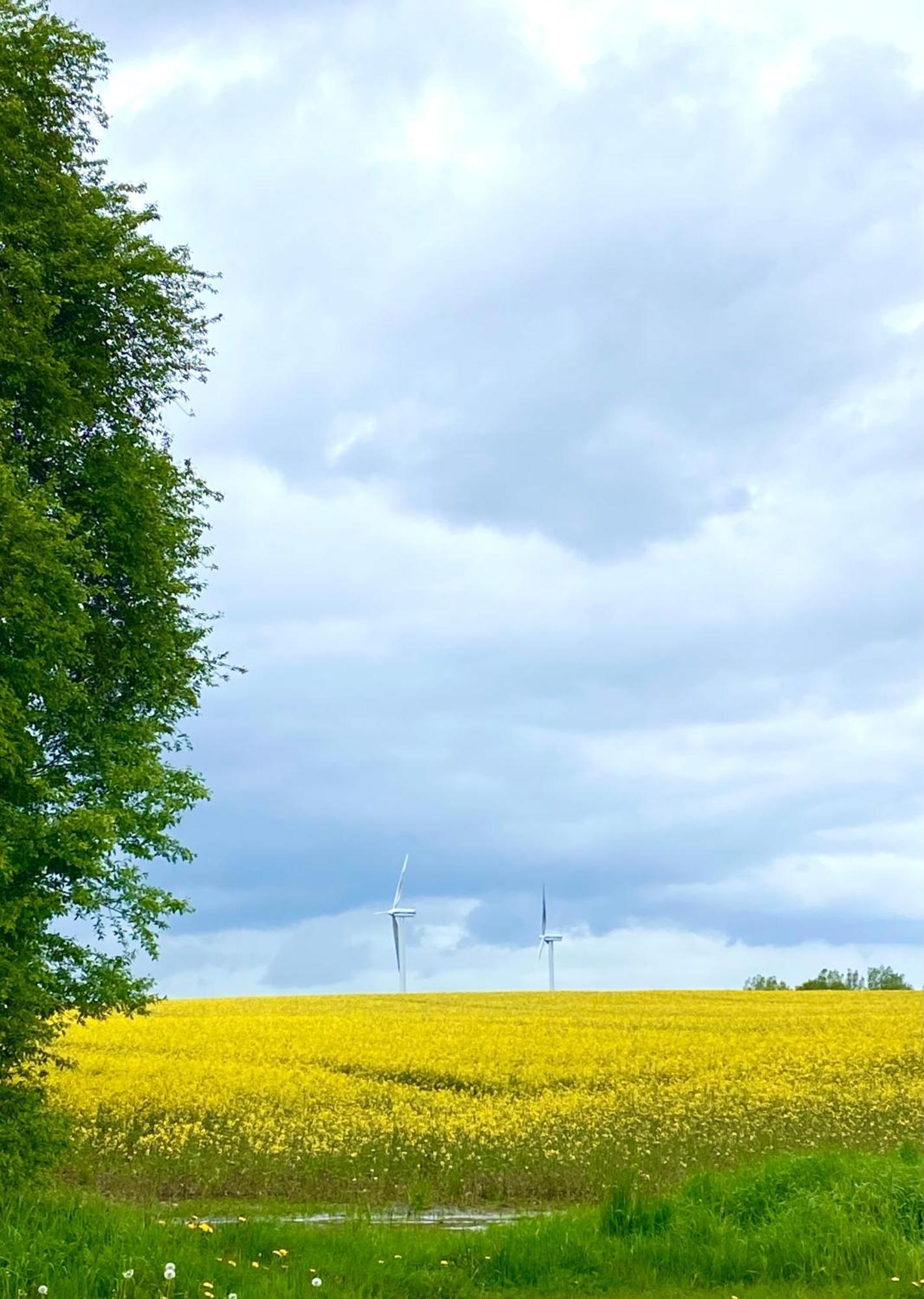 Ferienhaus Bei Engel Ahrensbok Bagian luar foto